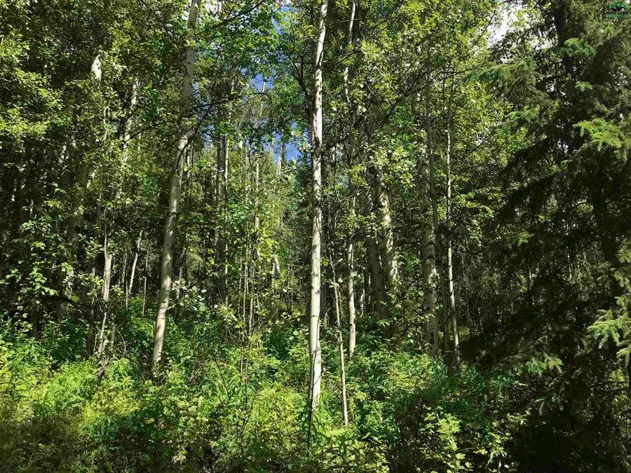 1452 BIRCHWOOD DRIVE, Fairbanks, AK 99709 - #3