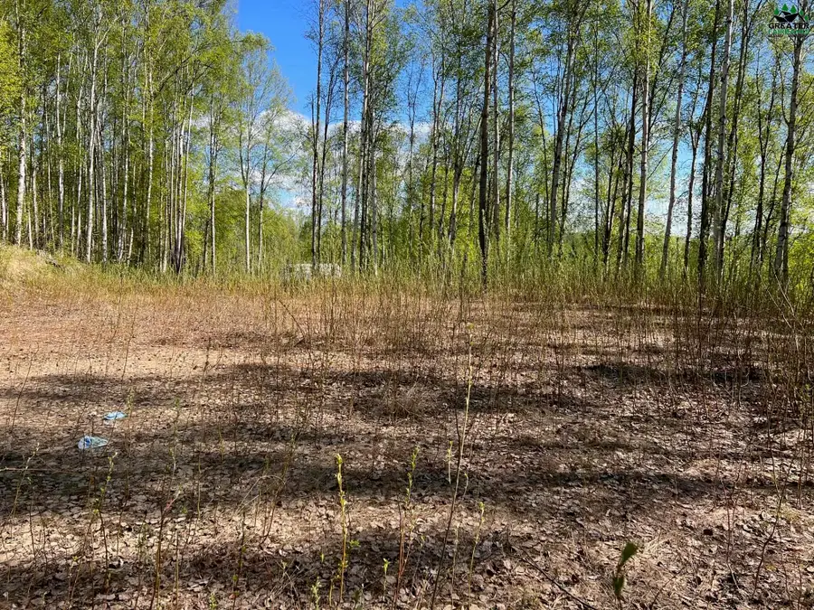 475 EAGLE RIDGE ROAD, Fairbanks, AK 99712 - #2