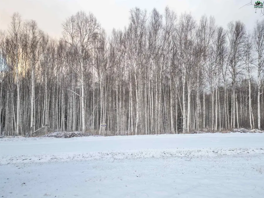 NHN BIRCH KNOLL ROAD, Fairbanks, AK 99709 - #2