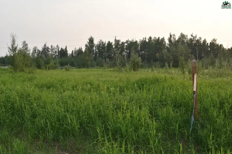 2555 THERRON STREET, North Pole, AK 99705 - #3