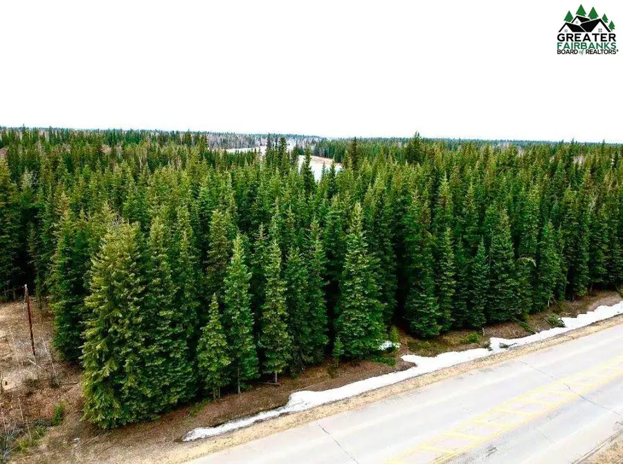 NHN DAWSON ROAD, North Pole, AK 99705 - #2