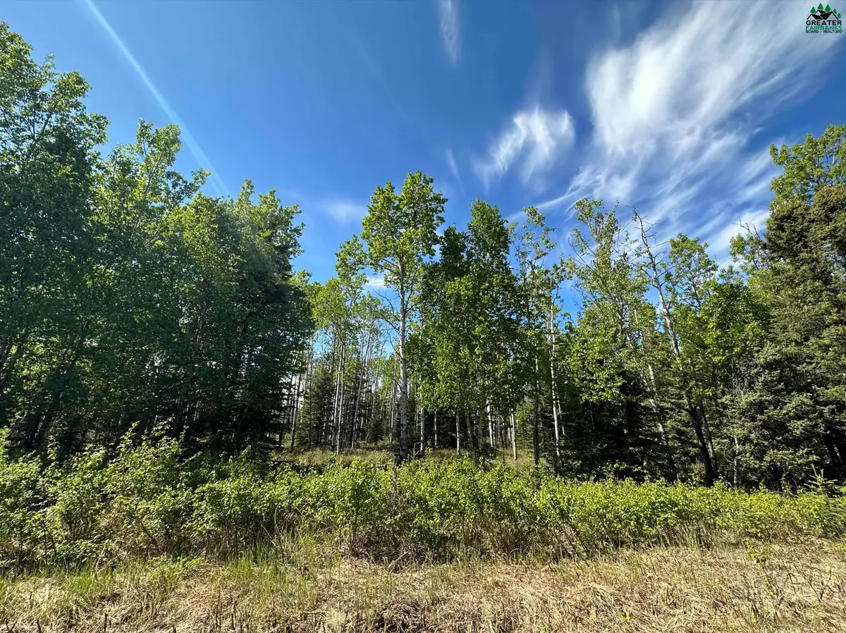 L10 JANIE LANE, Delta Junction, AK 99737 - #1