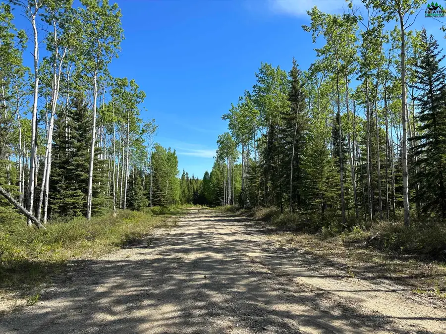 L10 JANIE LANE, Delta Junction, AK 99737 - #2