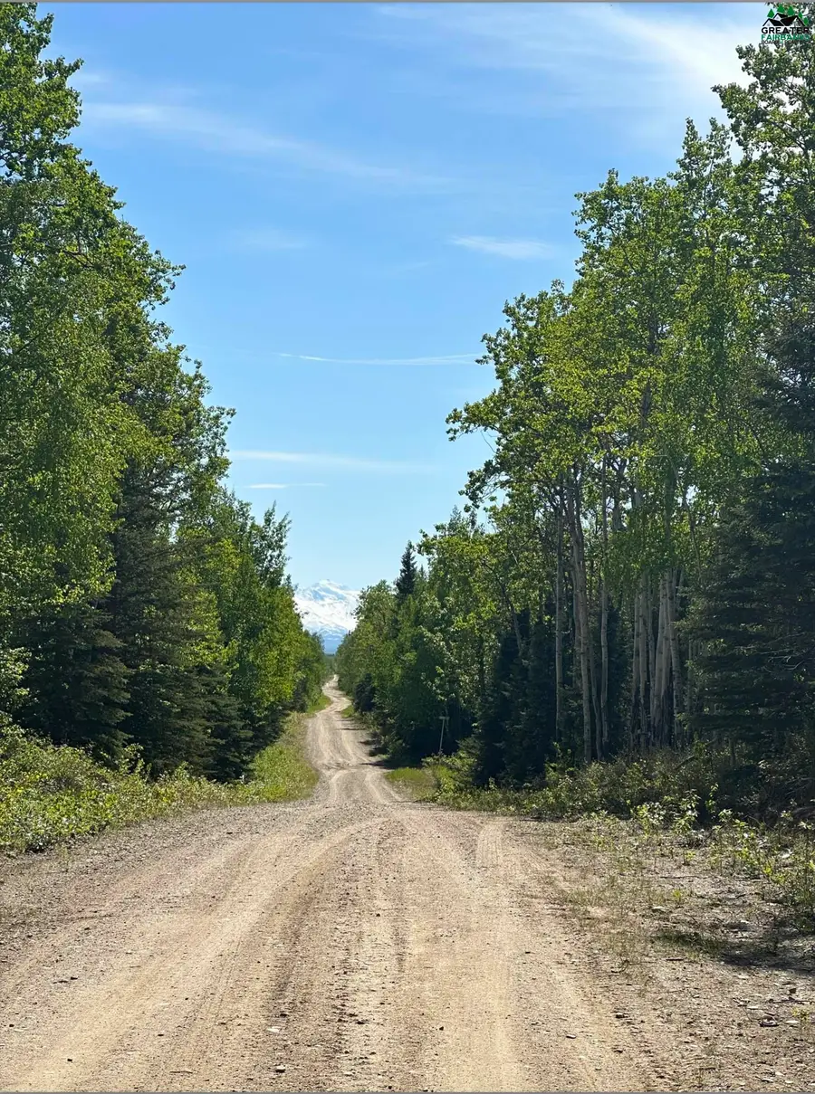 L10 JANIE LANE, Delta Junction, AK 99737 - #3