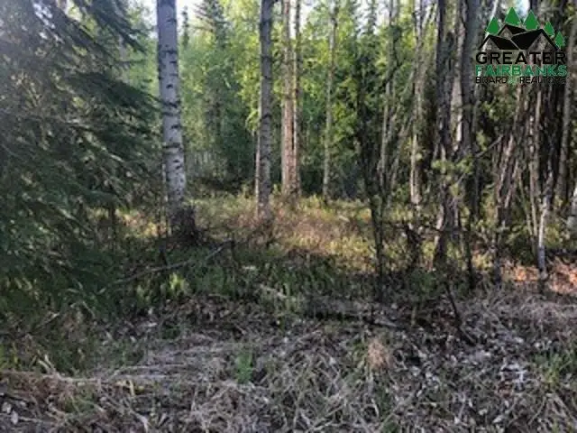 690 MANCHESTER LOOP, Fairbanks, AK 99709 - #3