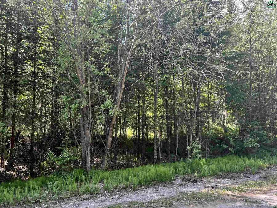 L35 TERRY LANE, Delta Junction, AK 99737 - #2