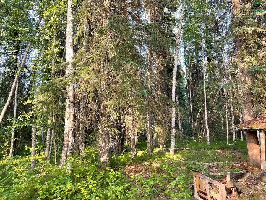 NHN CHENA RIVER, Two Rivers, AK 99716 - #3