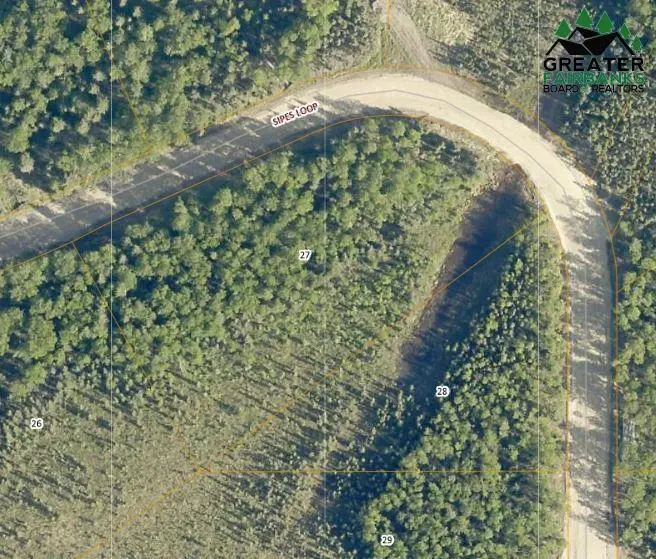 L27 SIPES DR, Salcha, AK 99714 - #3