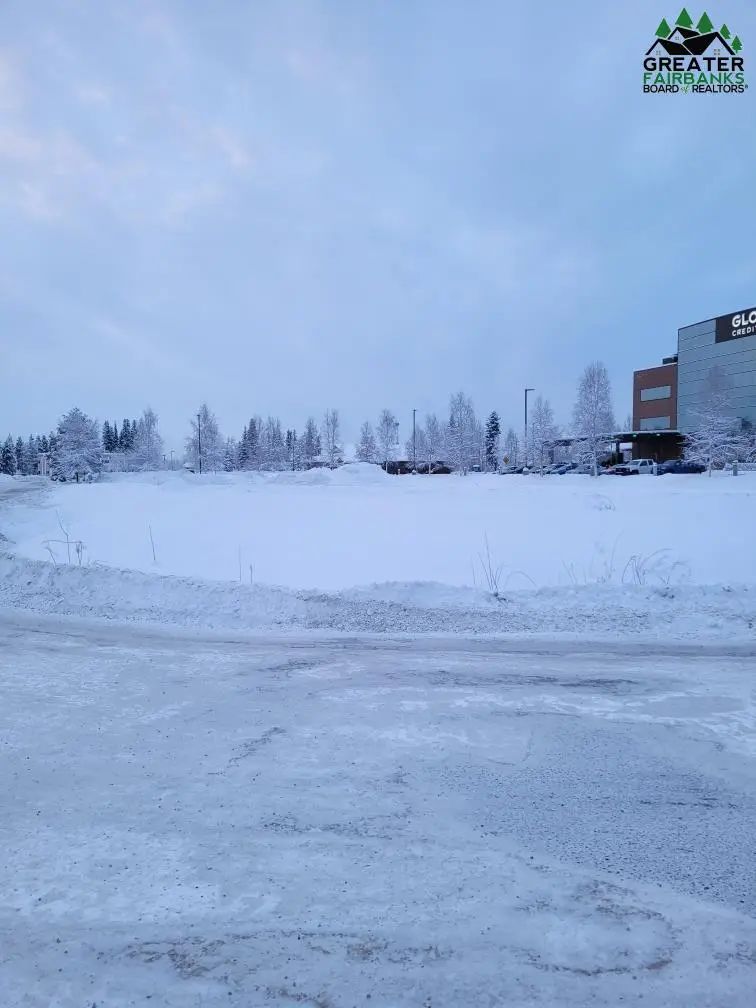 NHN SADLER WAY, Fairbanks, AK 99701 - #1