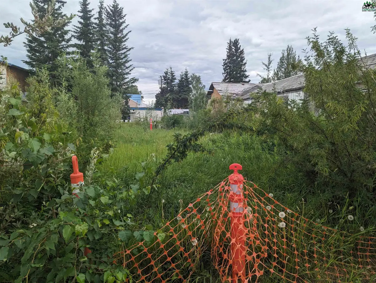 Lot 13 CHARLES STREET, Fairbanks, AK 99701 - #1