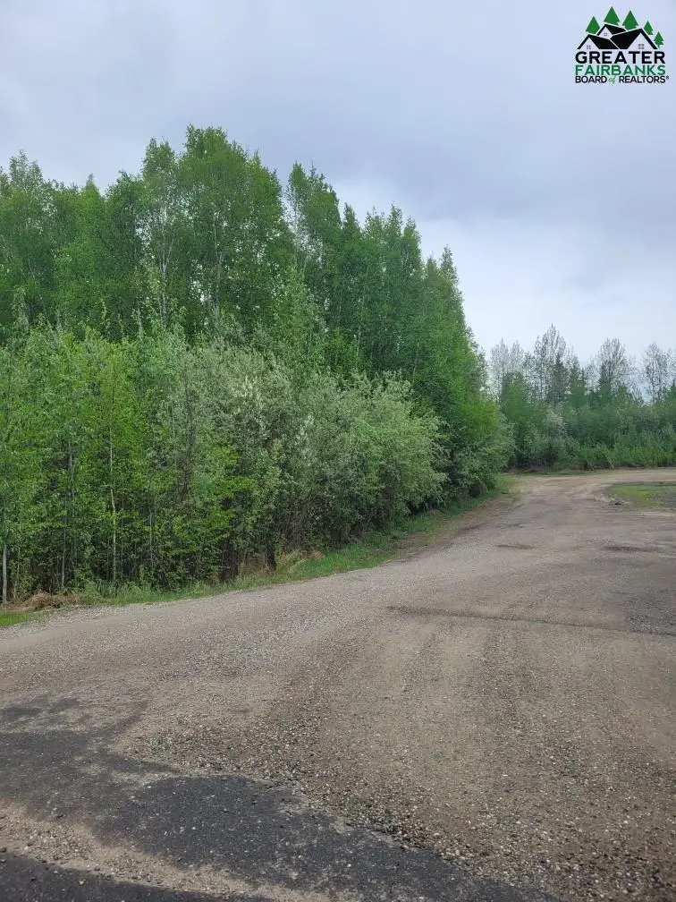 NHN BADGER ROAD, North Pole, AK 99705 - #1