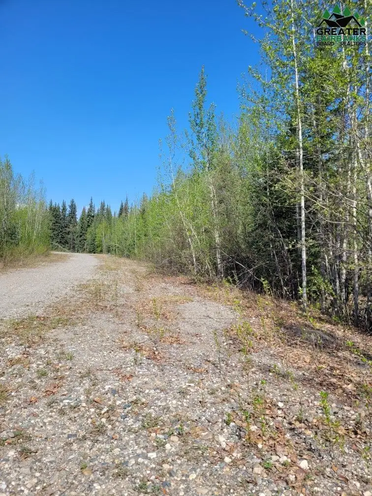 NHN BADGER ROAD, North Pole, AK 99705 - #3