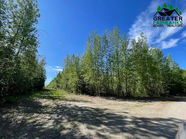 NHN BADGER ROAD, North Pole, AK 99705 - #2