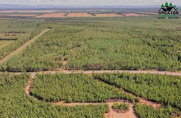 C-1 Allis Chalmers Court, Delta Junction, AK 99737