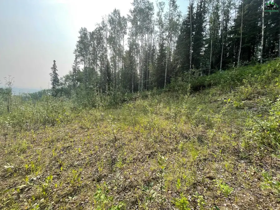 NHN CANTERBURY DRIVE, Fairbanks, AK 99709 - #3