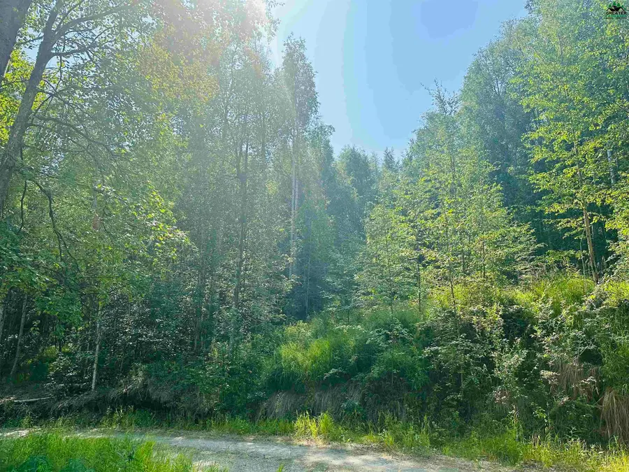 NHN CHAD STREET, Fairbanks, AK 99712 - #2