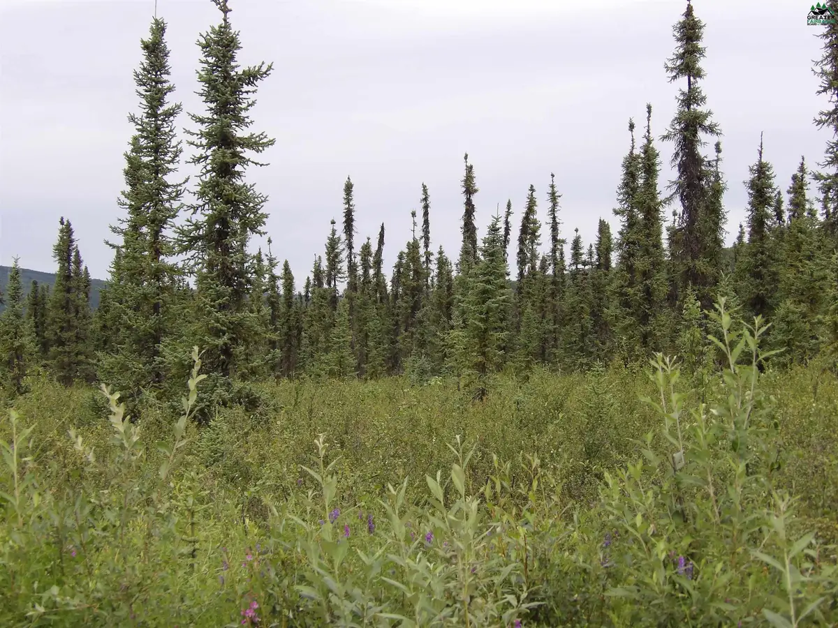 NHN JADE STREET, Fairbanks, AK 99709 - #1