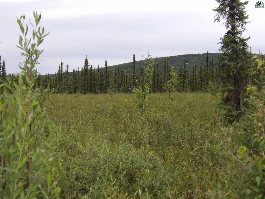 NHN JADE STREET, Fairbanks, AK 99709 - #2