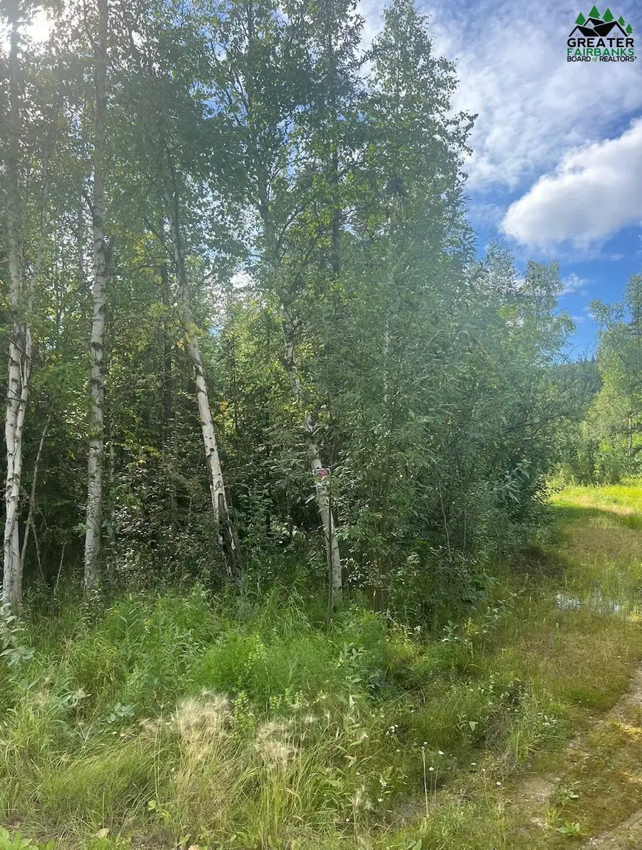 1825 PERKINS DRIVE, Fairbanks, AK 99709 - #3