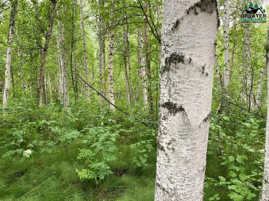 NHN RODEN LANE, Fairbanks, AK 99709 - #2