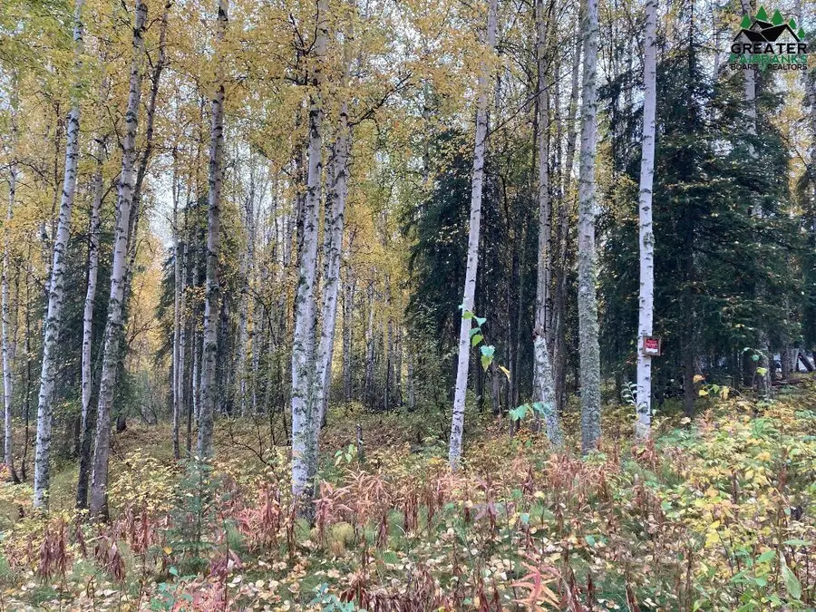 NHN CONSTANCE COURT, Fairbanks, AK 99701 - #2