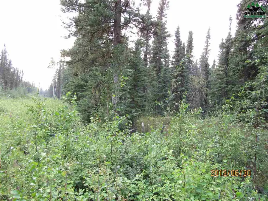 L50 SANDSTONE STREET, Delta Junction, AK 99737 - #3