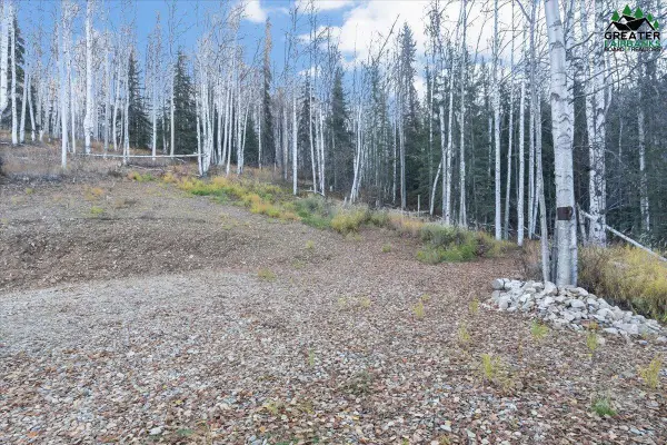 Tract C-1 BIRCH BEND COURT, Fairbanks, AK 99712