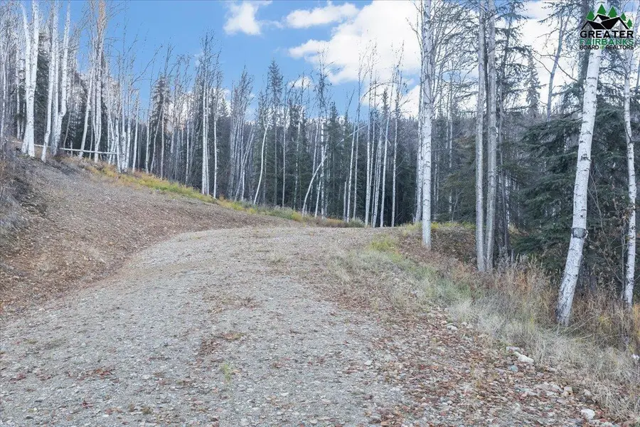 Tract C-1 BIRCH BEND COURT, Fairbanks, AK 99712 - #2