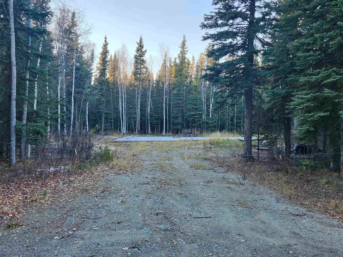 NHN ALYS AVENUE, Delta Junction, AK 99737 - #1