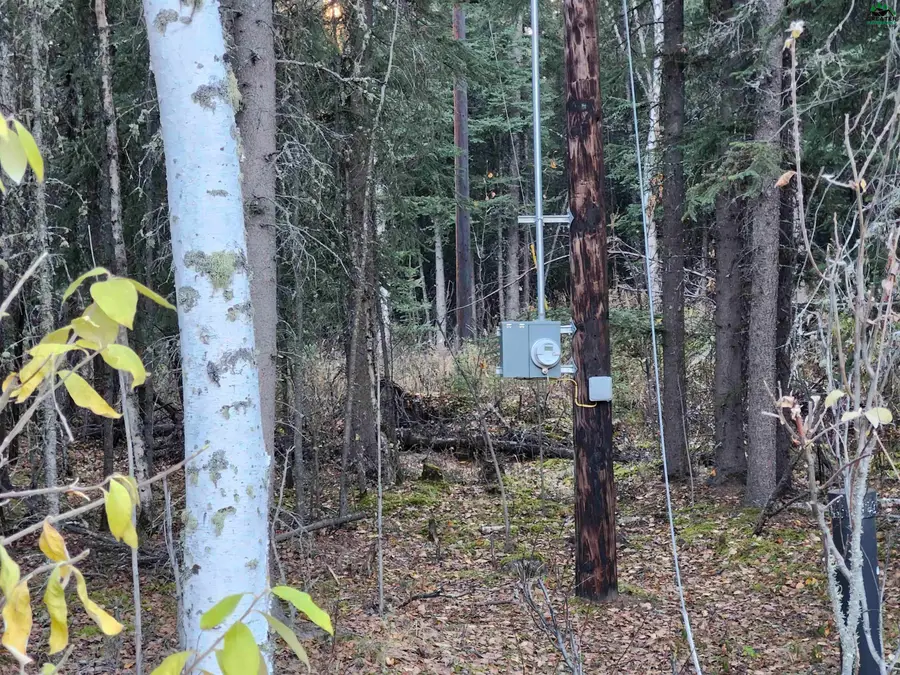 NHN ALYS AVENUE, Delta Junction, AK 99737 - #3