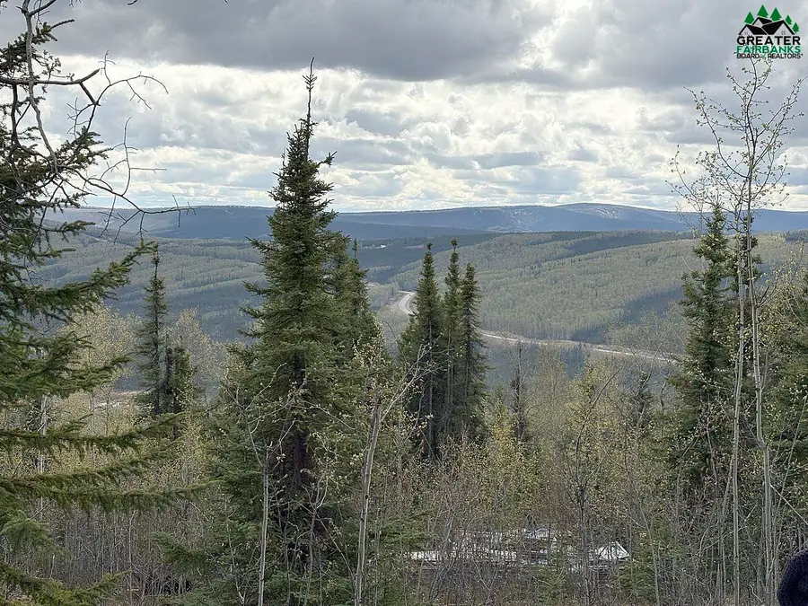 NHN OLNES LOOP ROAD, Fairbanks, AK 99712 - #2