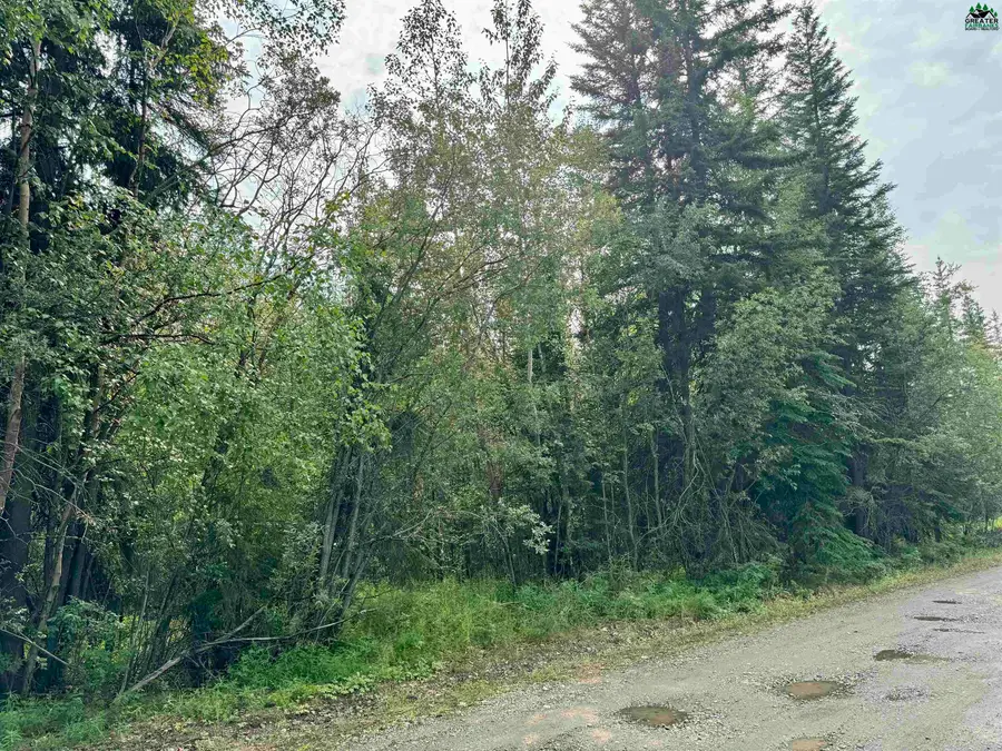 NHN LYLE AVENUE, North Pole, AK 99705 - #2