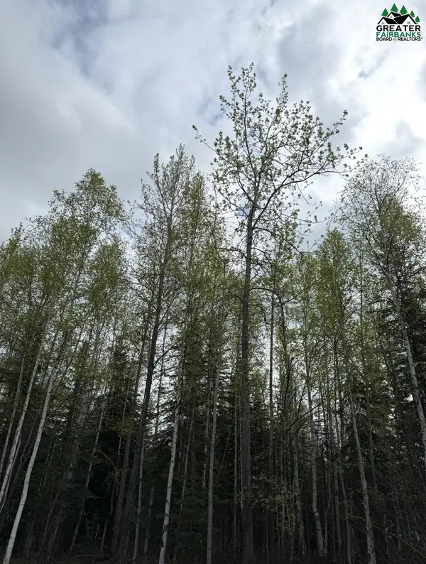 1564 MADELINE STREET, North Pole, AK 99705