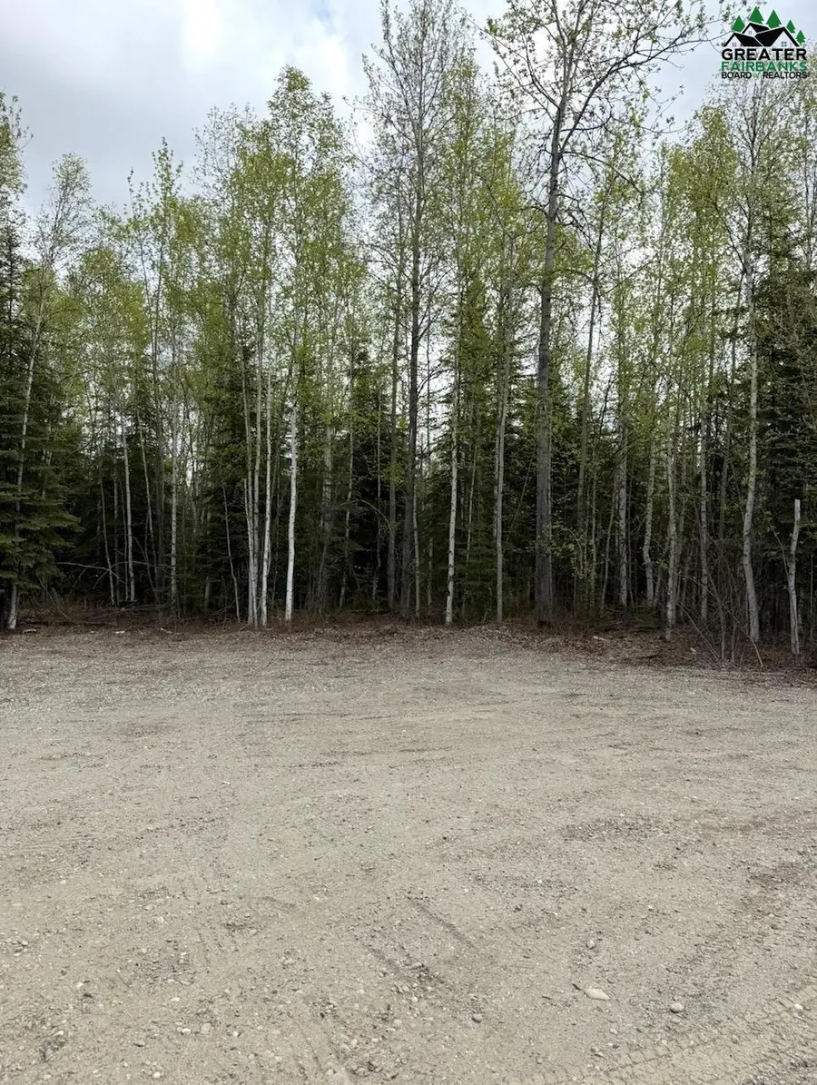 1564 MADELINE STREET, North Pole, AK 99705 - #3