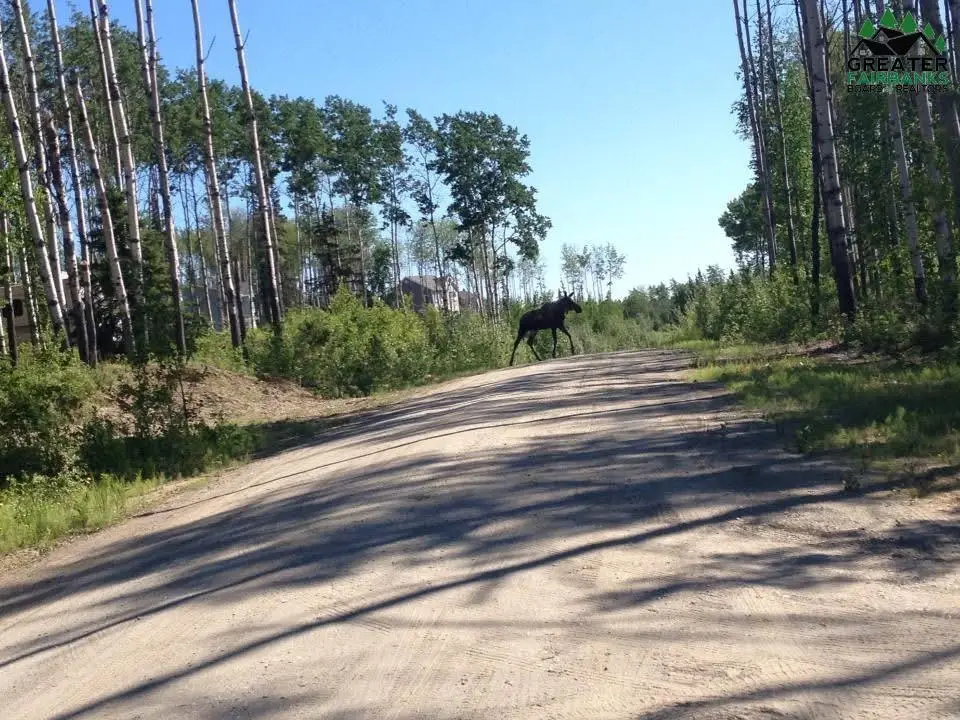 3300 CRAFT AVENUE, Fairbanks, AK 99709 - #1