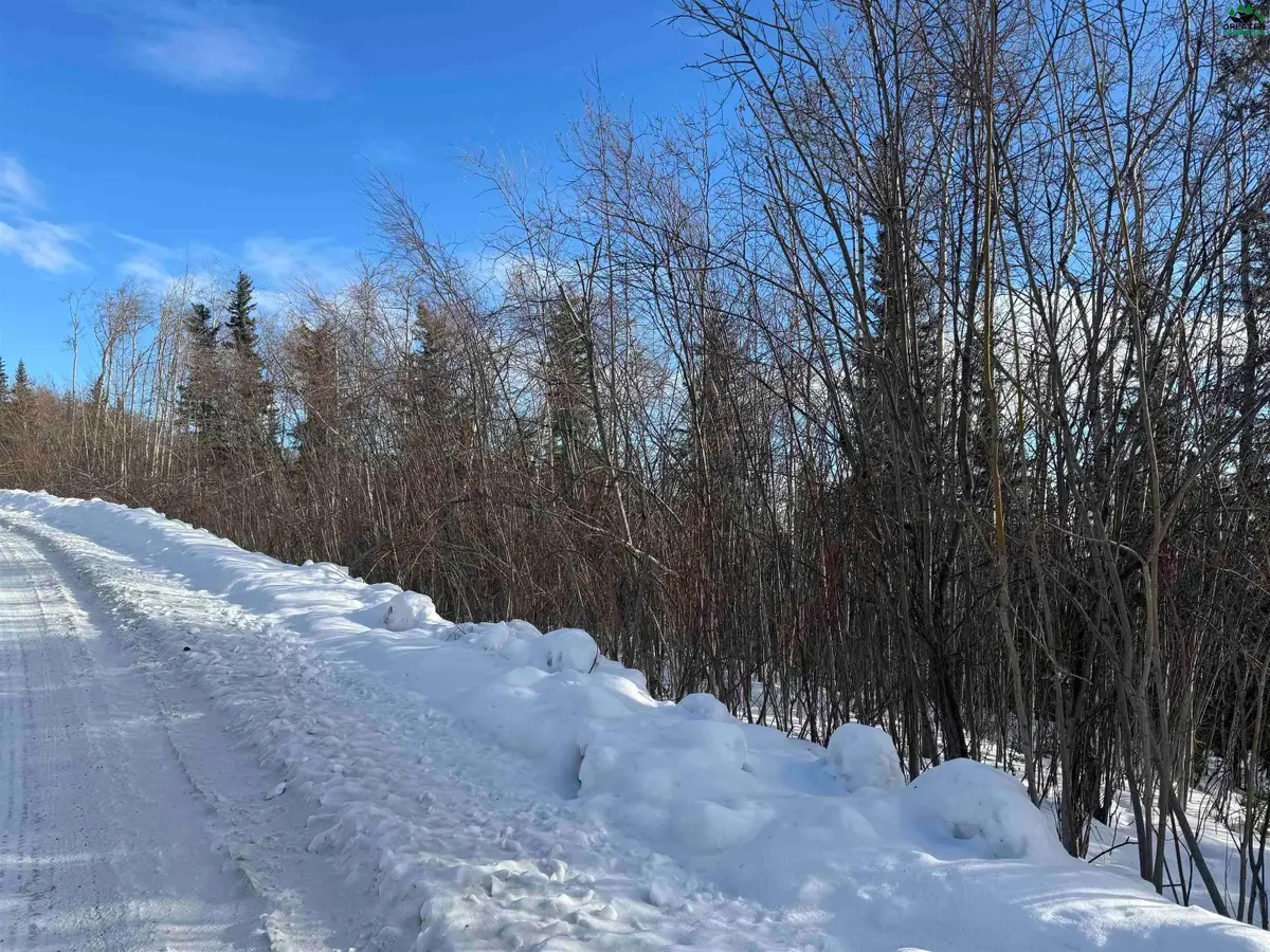 NHN CANTERBURY DRIVE #Lot 4, Fairbanks, AK 99709 - #1