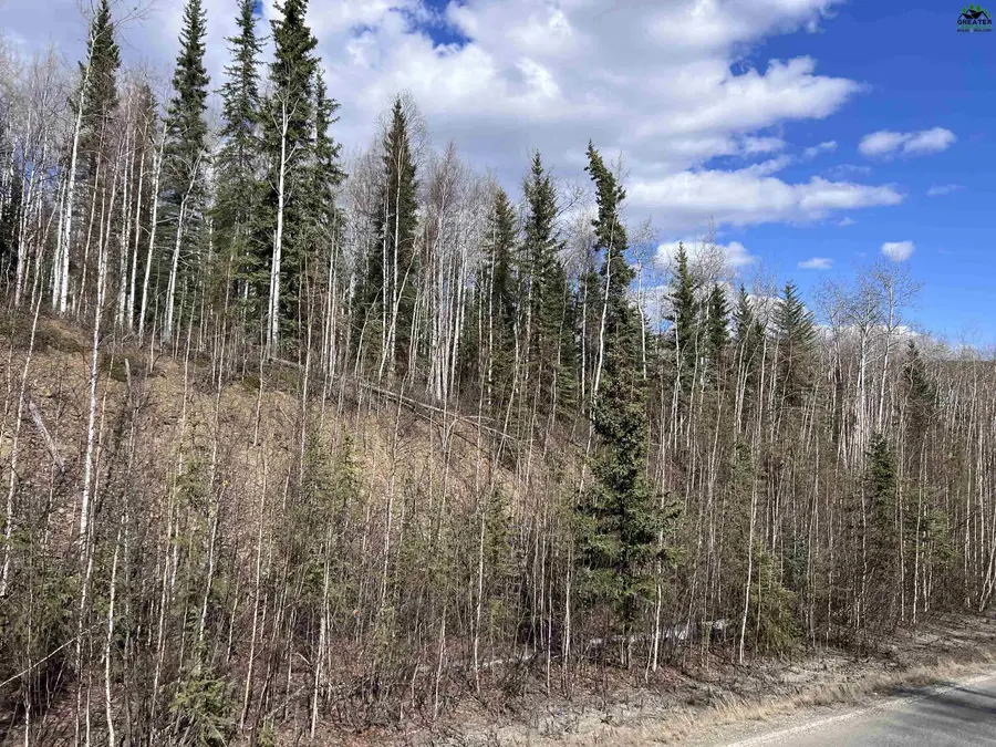 Lot 1 SUNLIGHT DRIVE, Fairbanks, AK 99709 - #3