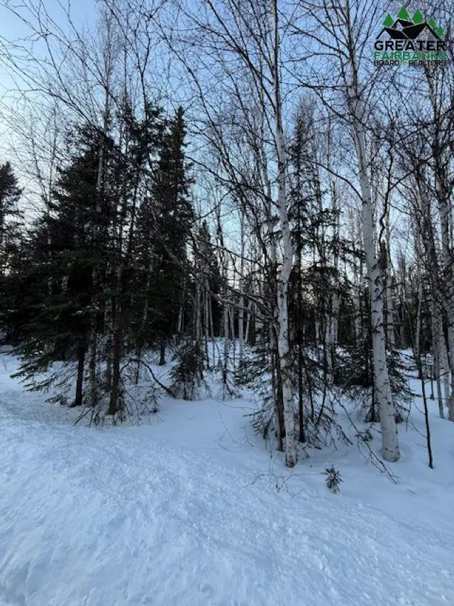 NHN ORCHID DRIVE, Salcha, AK 99714 - #3