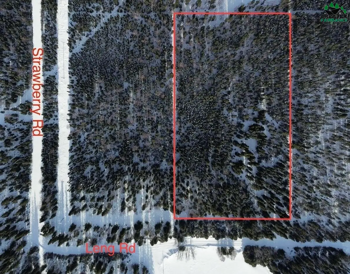 L7 LENG ROAD, Delta Junction, AK 99737 - #1