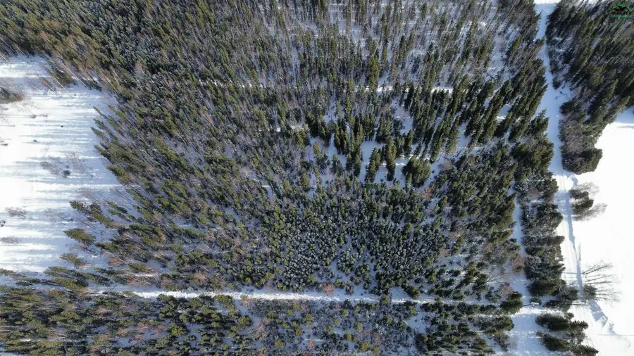 L7 LENG ROAD, Delta Junction, AK 99737 - #2