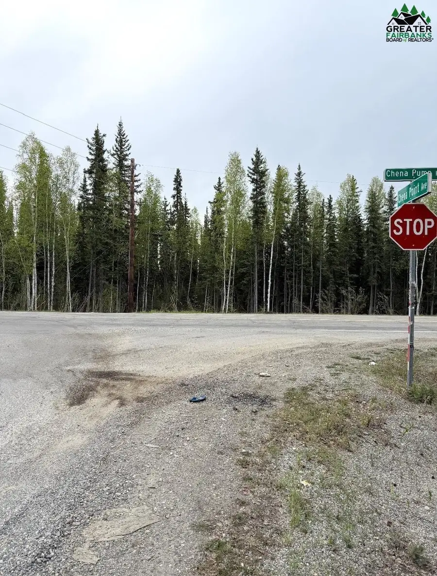 NHN CHENA PUMP ROAD, Fairbanks, AK 99709 - #2
