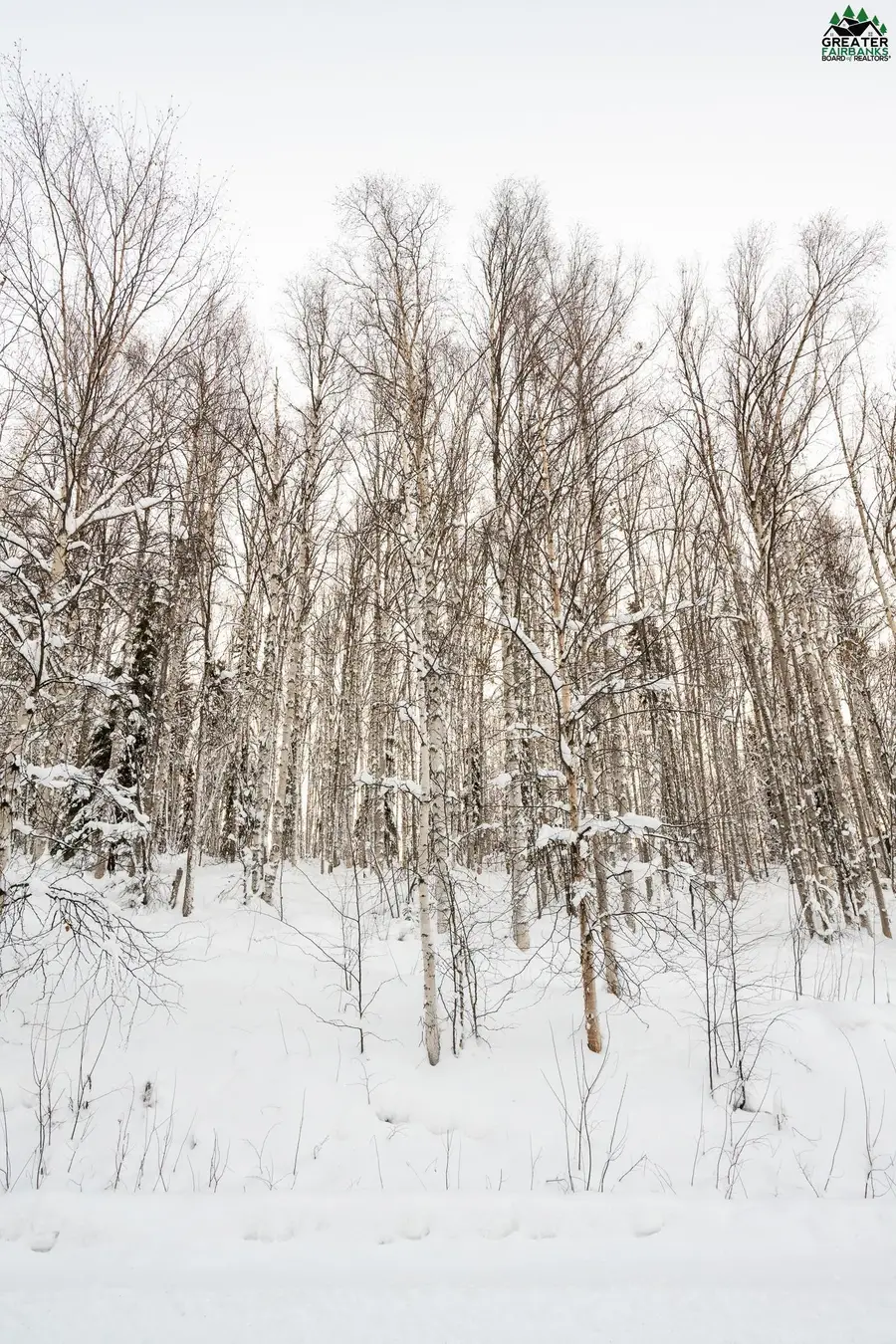 NHN CHENA RIDGE ROAD, Fairbanks, AK 99709 - #2