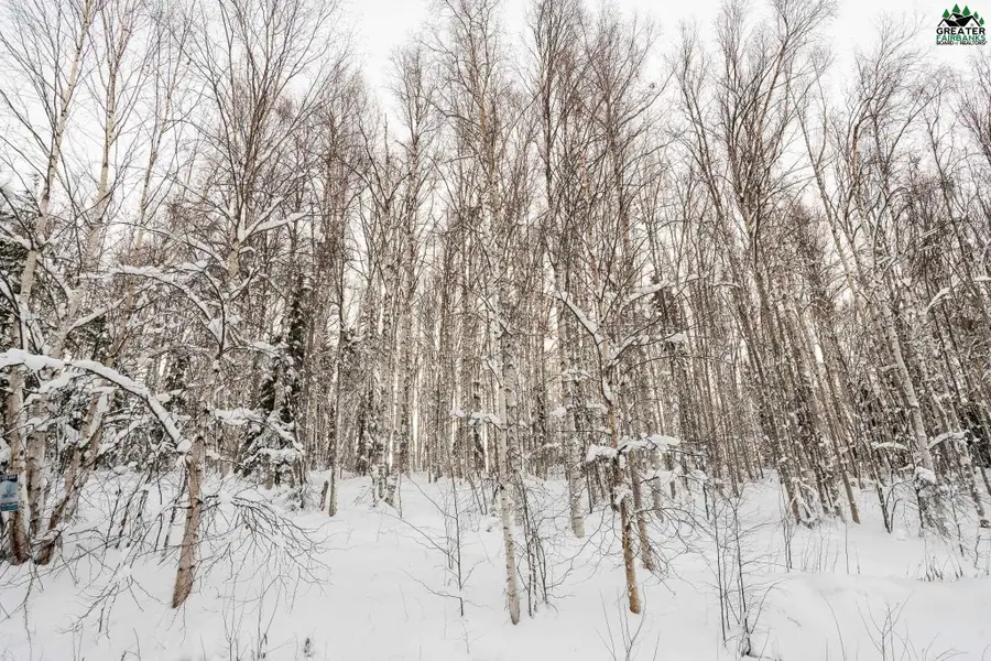NHN CHENA RIDGE ROAD, Fairbanks, AK 99709 - #3
