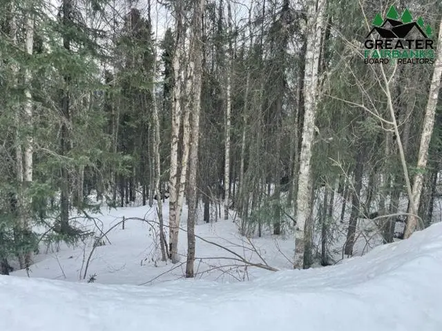 nhn HIMILAYA ROAD, Fairbanks, AK 99712 - #2