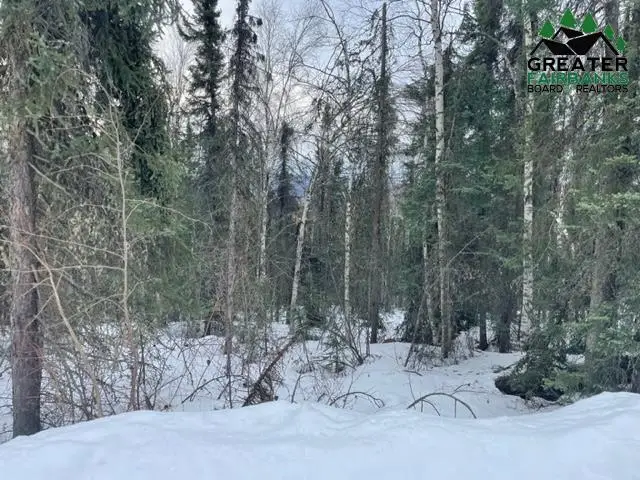 nhn HIMILAYA ROAD, Fairbanks, AK 99712 - #3