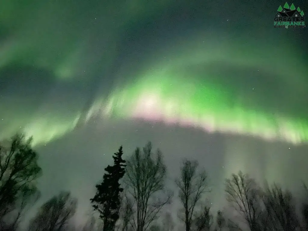 7760 STEESE HIGHWAY, Fairbanks, AK 99701 - #1