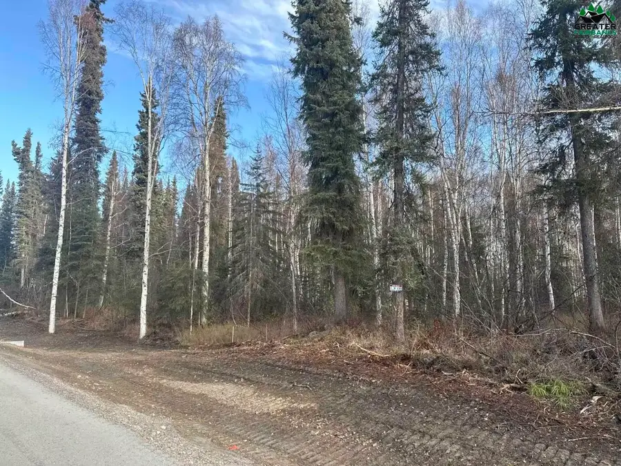 Lot 3, Block B RIVER PARK DRIVE, Fairbanks, AK 99712 - #2