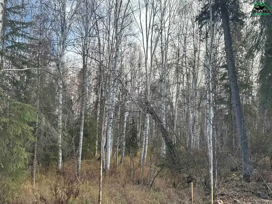 Lot 3, Block B RIVER PARK DRIVE, Fairbanks, AK 99712 - #3
