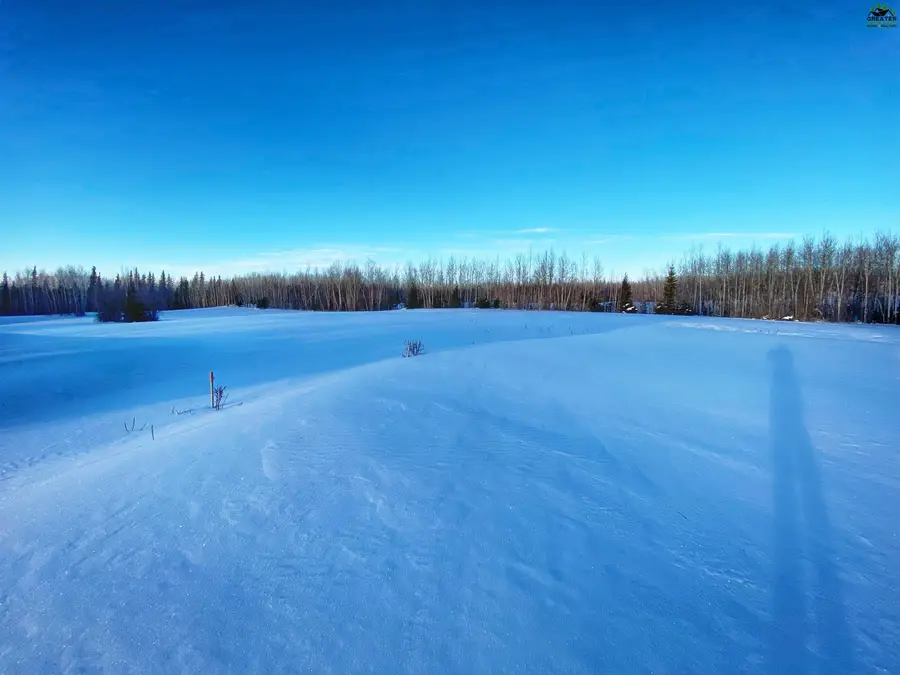 L28 ALLIANCE COURT #Lot 28 Alliance Way, Delta Junction, AK 99737 - #3