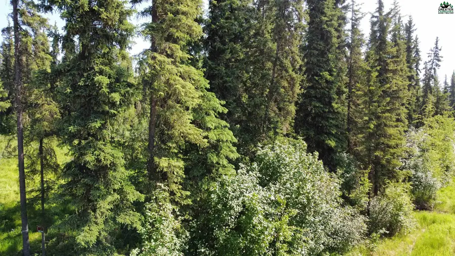 L1B2 NHN BRIGHTON DRIVE, Fairbanks, AK 99701 - #3